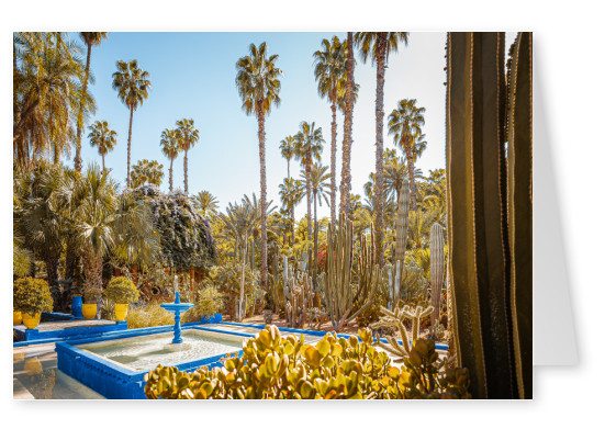 Majorelle Garten Marrakesch Kunst Fotografien Illustrationen