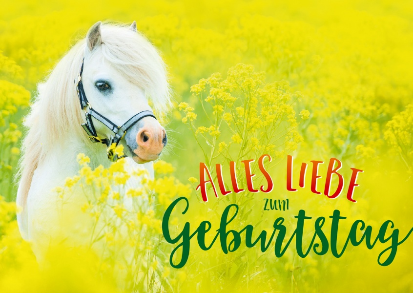 Postkarte Gutsch Verlag - Alles Liebe Zum Geburtstag