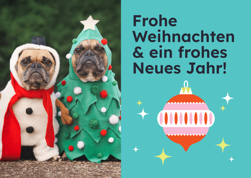 Frohe Weihnachten & ein Frohes Neues Jahr