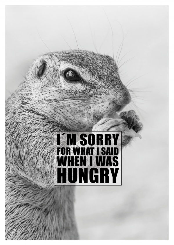 I´M SORRY FOR WHAT I SAID WHEN I WAS HUNGRY | Funny Cards & Quotes | Send  real postcards online
