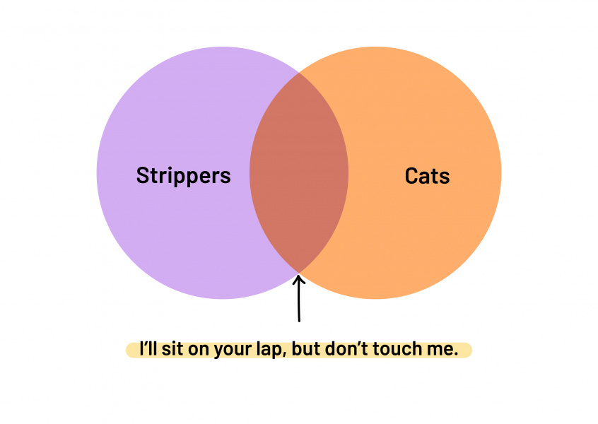 Strippers and Cats