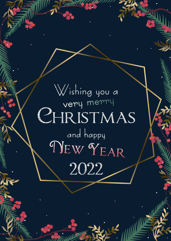 Wishing you a very merry Christmas & a happy New Year