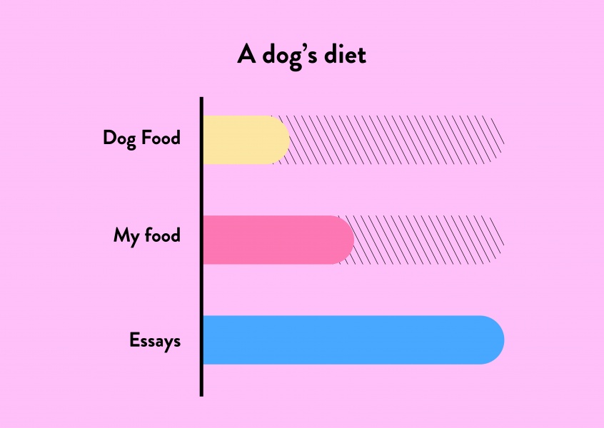 A dog's diet
