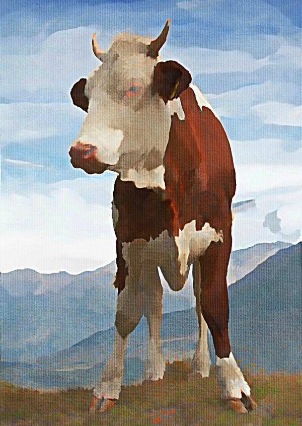 Kubistika cow in the mountains