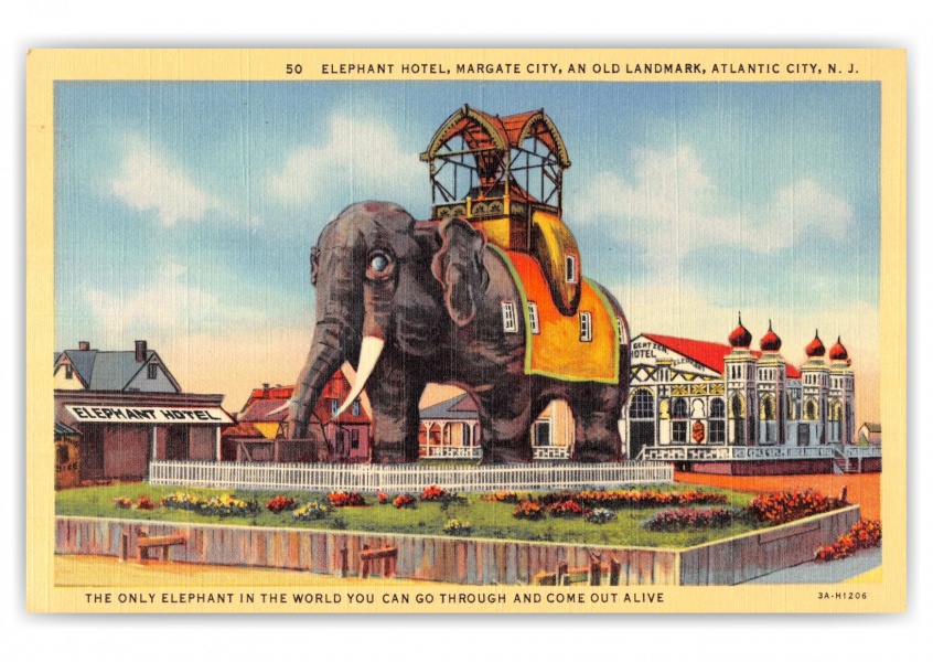 Vintage Postcard NEW JERSEY Greetings from Atlantic City N.J. 