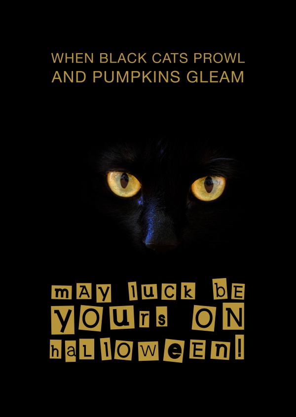 Halloween sayings When black cats prowl and pumpkins gleam