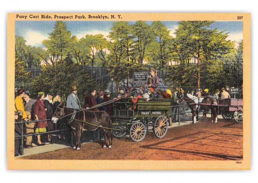 Brooklyn, New York, Pony Cart Ride in Prospect Park