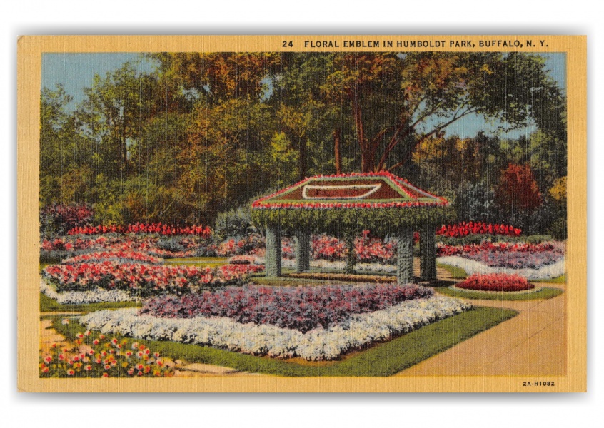 Buffalo, New York, Floral Emblem in Humboldt park