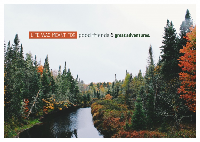 cartolina dicendo: la Vita è stato significato per i buoni amici e grandi avventure