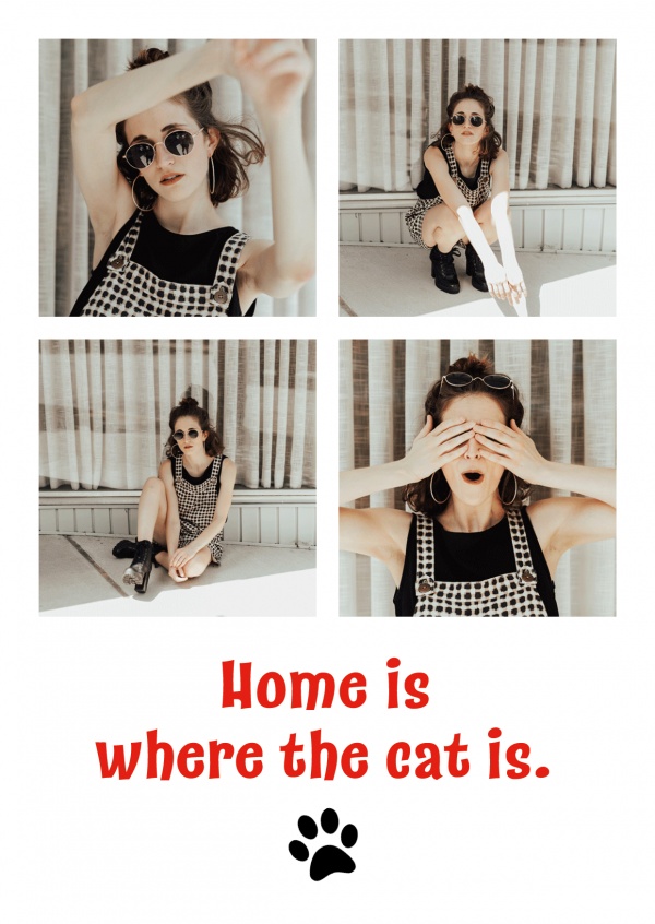 As meninas gostam de Viajar o lar é onde o gato é