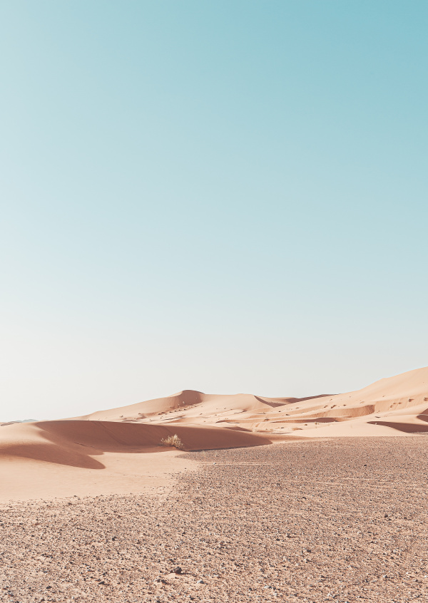 Desert dune Sahara 