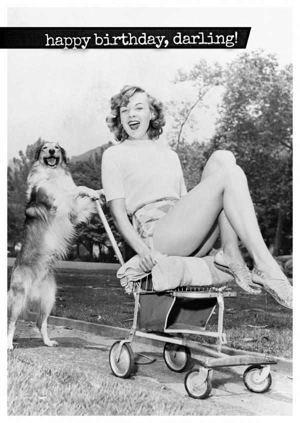 dog and lady vintage postcard