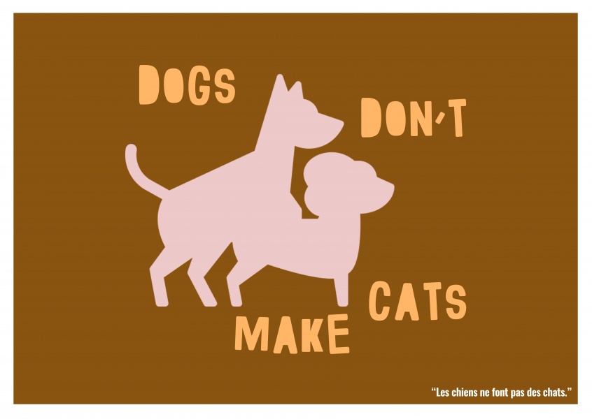 Expression drole franglais - dogs don t make cats