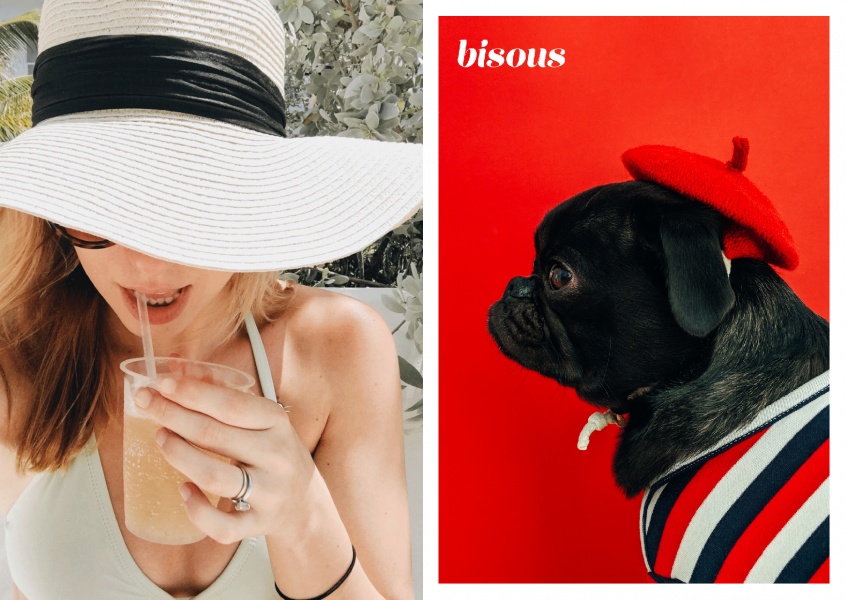 photo mignon petit chien habillé dans les couleurs françaises