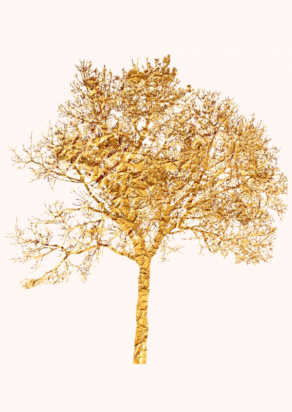 Gold Tree No. 4 | Art, Photo & Illustration Cards 🎨📸 | Send real  postcards online