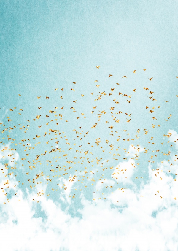 Kubistika bird swarm