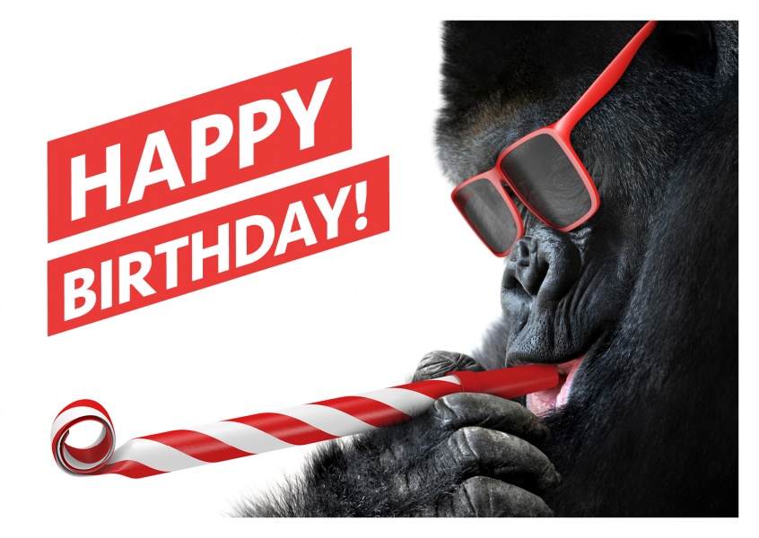 Gorilla  Happy Birthday Cards  Send real postcards online