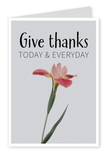 GIVE THANKS POSTCARD QUOTE THANKSGIVING