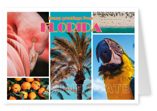 photocollage Florida retro lettering, parot, flamingo, oranges, beach