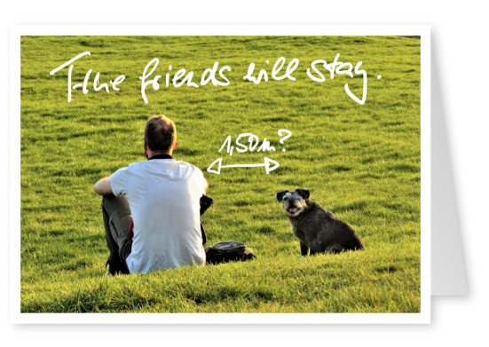 postcard True friends will stay