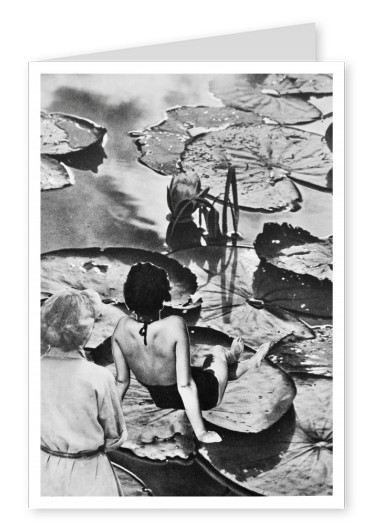Belrost black n white collage de las mujeres sobre el lirio