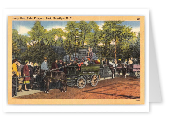 Brooklyn, New York, Pony Cart Ride in Prospect Park