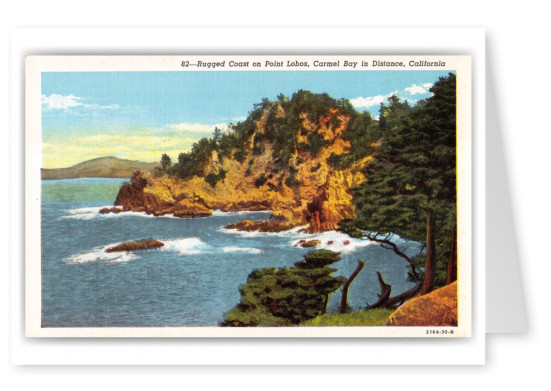 Carmel, California, rugged coast on Point Lobos