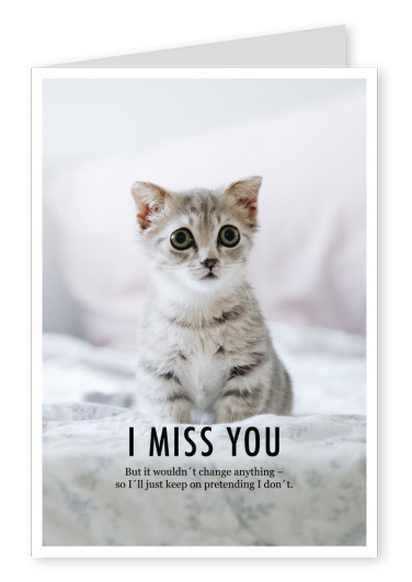 photo cat I miss you quote
