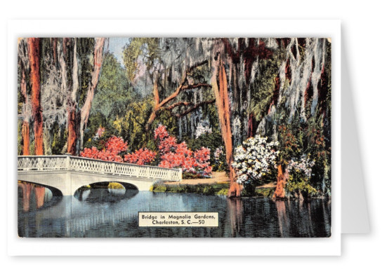 Charleston, South Carolina, Bridge in Magnolia Gardens