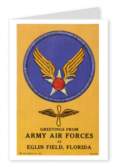 Curt Teich Postal Colección De Archivos De Fuerzas Aéreas Del Ejército Egling Campo, Florida