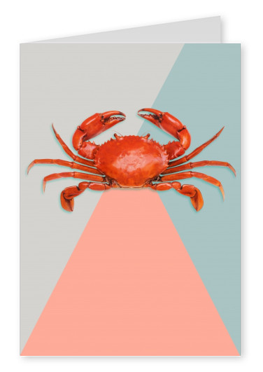 Kubistika red crab