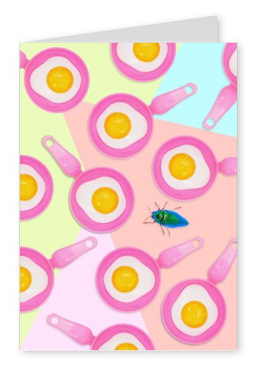 Kubistika chuckoo watching his egg in pink pans