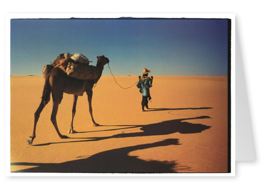 Desert touareg with camel