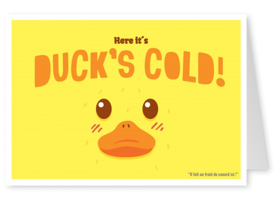 Expression drole franglais - here it s duck s cold