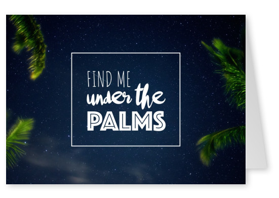 cartão postal de citação me Encontrar debaixo das palmeiras