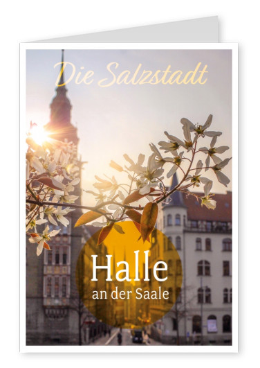 cartão postal de Halle an der Saale Morrer Salzstadt