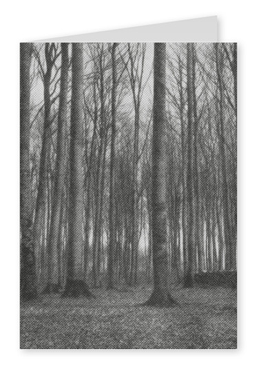 le noir et blanc granuleux de la photo de la forêt 