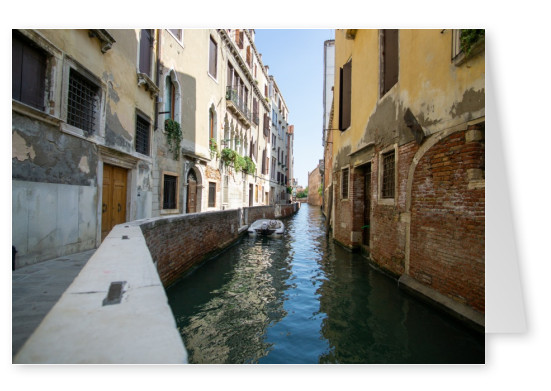 James Graf photo à Venise