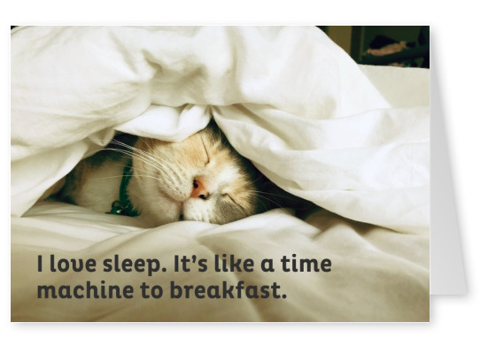 Eu amo dormir. É como uma máquina do tempo para o café da manhã.