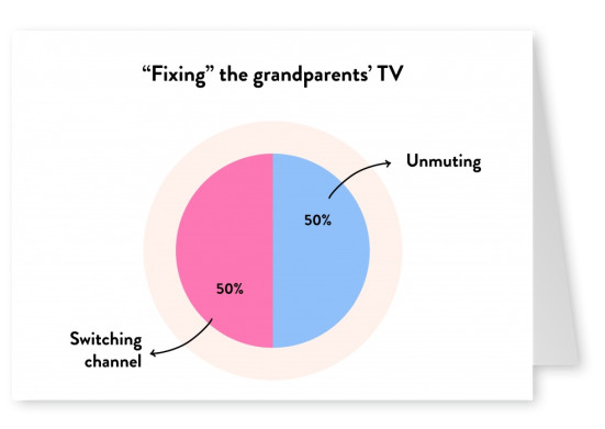 “Fixing” the grandparents’ TV - Pie Chart