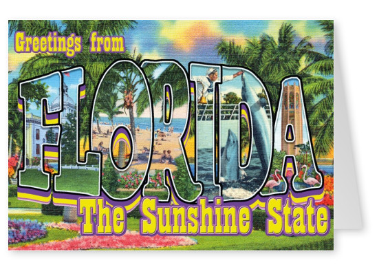 Florida vintage greeting card
