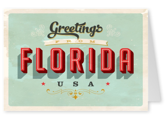 Florida vintage postcard card
