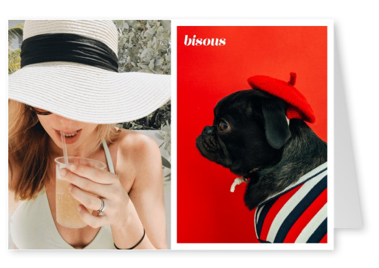 foto carino cane vestito in colori francesi