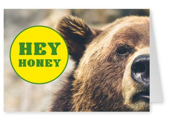 funny greeting card with a bear who says hey honey