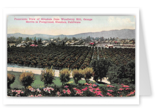Glendale California Woodberry Hill Orange Groves