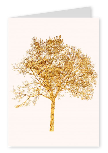 Gold leaves | Art, Photo & Illustration Cards 🎨📸 | Send real postcards  online