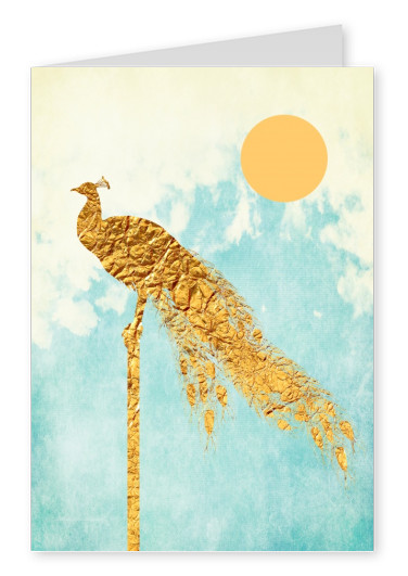Kubistika golden peacock under the sun