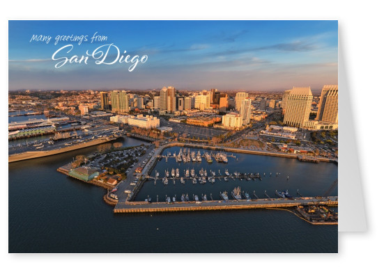 Bay of San Diego and skyline in evening light