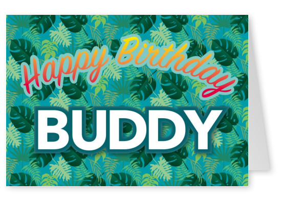 happy birthday buddy postcard