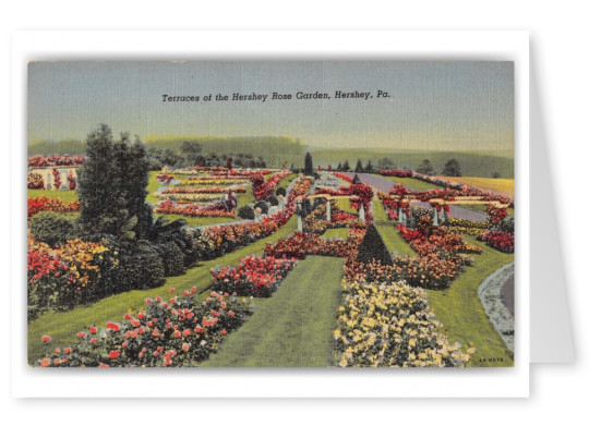 Hershey, Pennsylvania, Terraces of Hershey Rose Garden
